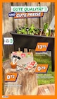 Anzuchttisch, Pflanzetiketten, Kräuter-, Blumen- oder Gemüsesamen Angebote von Home Accents bei Action Amberg für 0,29 €