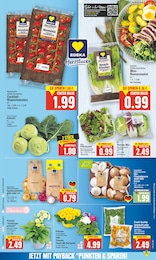 Pflanzen Angebot im aktuellen E center Prospekt auf Seite 7