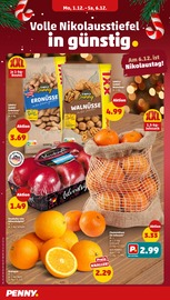 Aktueller Penny Prospekt mit Gulasch, "Wer günstig will, muss Penny.", Seite 8