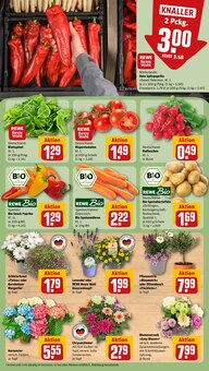 Hortensie im REWE Prospekt "Dein Markt" mit 31 Seiten (Braunschweig)