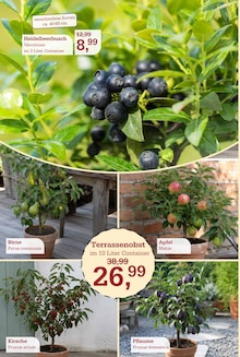 Äpfel im aktuellen Garten-Center Nordharz GmbH & Co. KG Prospekt (Hannover) Äpfel im Garten-Center Nordharz GmbH & Co. KG Prospekt "SUMMER'S END" mit 12 Seiten (Hannover)