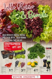 Salat Angebot im aktuellen Selgros Prospekt auf Seite 3