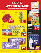 Aktueller Netto Marken-Discount Prospekt mit Schloss, "Aktuelle Angebote", Seite 31