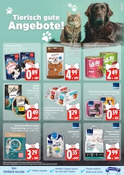 Aktueller E aktiv markt Prospekt mit Hundefutter, "Top Angebote", Seite 23