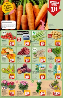 Pflanzen im REWE Prospekt "Dein Markt" mit 40 Seiten (Braunschweig)