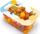 Dattelcherry-Tomaten Mix  im aktuellen Netto mit dem Scottie Prospekt für 1,99 €