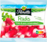 Radis Long Florette dans le catalogue Auchan Hypermarché