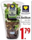 XXL Basilikum von EDEKA im aktuellen EDEKA Prospekt für 1,79 €