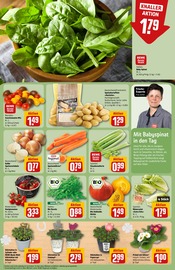 Aktueller REWE Prospekt mit Sellerie, "Dein Markt", Seite 7