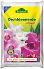 Orchidenerde Angebote von Bioflor bei Netto mit dem Scottie Dresden für 2,79 €