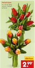 Aktuelles Herbsttulpen Angebot bei Netto Marken-Discount in Trier ab 2,99 €