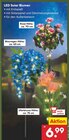 Aktuelle Solar-Led-Lampen Angebote bei Netto Marken-Discount in Duisburg Aktuelles LED Solar Blumen Angebot bei Netto Marken-Discount in Duisburg ab 6,99 €
