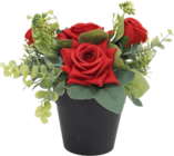 Bazarland Latour-Bas-Elne - Promo Pot de roses et feuillage Promo Pot de roses et feuillage à 3,99 € dans le catalogue Bazarland à Latour-Bas-Elne