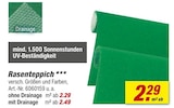 toom Baumarkt Werda - Rasenteppich Angebot im Prospekt Rasenteppich bei toom Baumarkt im Werda Prospekt für 2,29 €