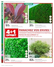Bambou Angebote im Prospekt "PRÉPAREZ L’AUTOMNE : JARDIN - BRICOLAGE" von Carrefour auf Seite 10