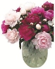 Pivoines de chine roses et blanches - U SPECIALISTE à 4,99 € dans le catalogue Super U