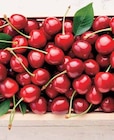 Promo Cerise à 3,99 € dans le catalogue Intermarché à Dijon