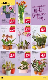 Aktueller Netto mit dem Scottie Prospekt mit Orchidee, "Günstig. Besser. Für Dich.", Seite 26