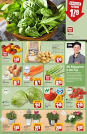 Aktueller REWE Prospekt mit Garten, "Dein Markt", Seite 7
