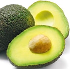 Avocado Hass bei Netto mit dem Scottie im Uelzen Prospekt für 0,89 €