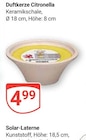 Angebot im GLOBUS Siegen (Universitätsstadt) Prospekt GLOBUS Siegen (Universitätsstadt) Prospekt mit im Angebot für 4,99 €