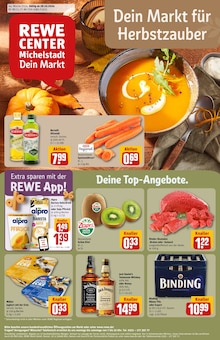 REWE Erbach Prospekt "Dein Markt" mit 42 Seiten