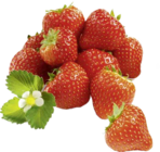 Unsere Heimat Erdbeeren Angebote bei Marktkauf Ravensburg