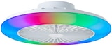 Aktuelles LED Deckenventilator 'Palmero' Angebot bei OBI in Erfurt ab 89,99 €