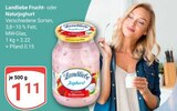 Aktuelles Fruchtjoghurt Angebot bei GLOBUS in Koblenz ab 1,11 €
