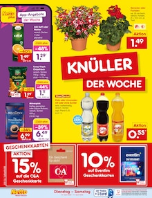 Saft im Netto Marken-Discount Prospekt "Aktuelle Angebote" mit 63 Seiten (Karlsruhe)