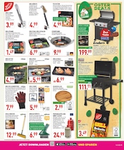 Besen im Marktkauf Prospekt in Lemgo Aktueller Marktkauf Prospekt mit Besen, "Aktuelle Angebote", Seite 25