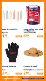 Prix et réduction Chapeau dans le prospectus Action en cours Offre Chapeau dans le catalogue Action du moment à la page 17