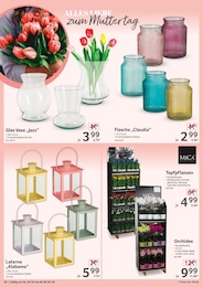 Schnittblumen Angebot im aktuellen Selgros Prospekt auf Seite 20