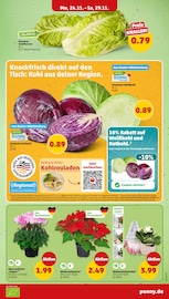 Aktueller Penny Prospekt mit Weihnachten, "Wer günstig will, muss Penny.", Seite 6