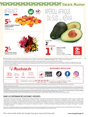 Promos Plante Verte dans le catalogue "LE GRAND MÉNAGE DE RENTRÉE" de Auchan Supermarché Plante Verte en promo dans le catalogue Auchan Supermarché à la page 15