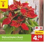 Aktuelles Weihnachtsstern Busch Angebot bei Netto Marken-Discount in Mönchengladbach ab 4,99 €