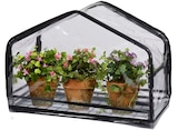 Greenhouse Angebote bei Rusta Bergheim für 4,99 €
