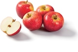 Lidl Carnoux-en-Provence - Promo Pomme 4 fruits Promo Pomme 4 fruits à 0,99 € dans le catalogue Lidl à Carnoux-en-Provence