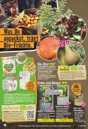 Hornbach Gartenerde im Prospekt Hornbach Gartenerde im Prospekt