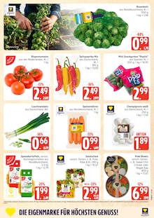 Marktkauf Prospekt der aktuellen Woche, gültig von 05.10.2026 bis 10.10.2026 Aktueller Marktkauf Prospekt "Top Angebote" mit 36 Seiten