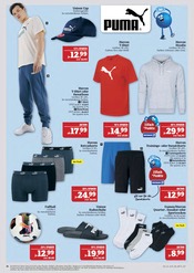 T-Shirt im Marktkauf Prospekt in Nürnberg Aktueller Marktkauf Prospekt mit T-Shirt, "GANZ GROSS in kleinsten Preisen!", Seite 36
