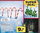 LED-Gartenstecker im aktuellen Netto mit dem Scottie Prospekt