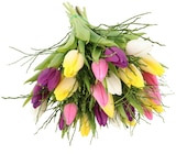 Tulpenstrauß »Lollipop« im Angebot bei REWE in Weinheim Tulpenstrauß »Lollipop« Angebote bei REWE Weinheim für 3,79 €