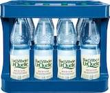 Bad Vilbeler UrQuelle Mineralwasser Angebot in Lahnau Bad Vilbeler UrQuelle Mineralwasser im aktuellen Prospekt bei Netto Marken-Discount in Lahnau