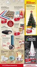 Aktueller Sonderpreis Baumarkt Prospekt mit Weihnachten, "Aktuelle Angebote", Seite 5