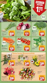 Blumenzwiebeln Angebote im Prospekt "Dein Markt" von REWE auf Seite 7