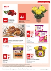 Chrysanthèmes Angebote im Prospekt "MES 25 JOURS AUCHAN" von Auchan Supermarché auf Seite 13