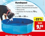 Thomas Philipps Nieder-Olm - Hundepool Angebot im Prospekt Hundepool bei Thomas Philipps im Nieder-Olm Prospekt für 9,99 €