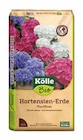 Hortensien-Erde – torffrei von Kölle Bio im aktuellen Pflanzen Kölle Prospekt für 6,99 €