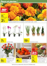Offre Plante D'intérieur dans le catalogue Carrefour du moment à la page 69